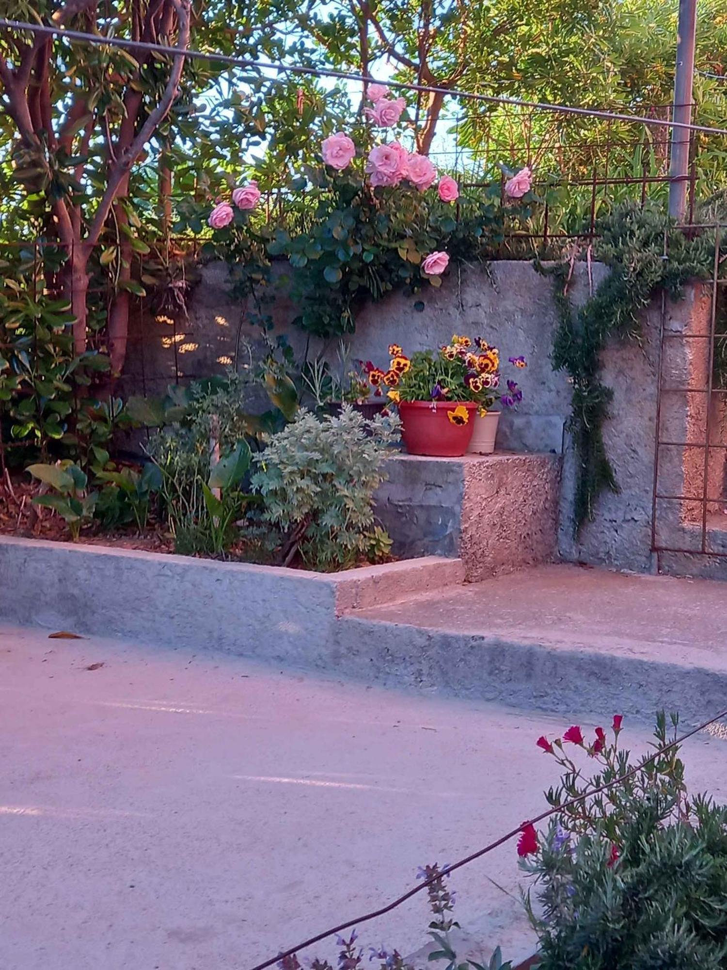 Apartments In Rab - Insel Rab 39950 Mundanije المظهر الخارجي الصورة